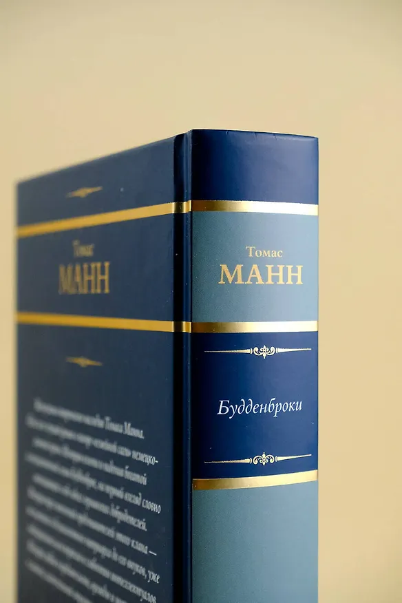 Книга Будденброки (Томас Манн) — 13