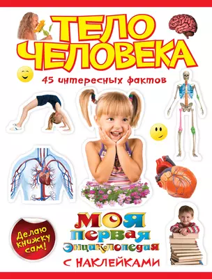 Тело человека — 2277962 — 1