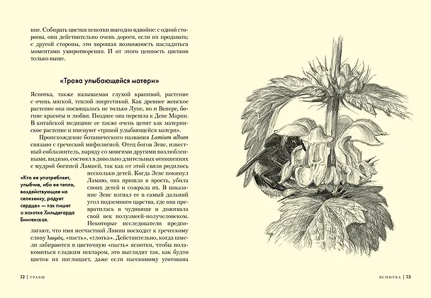 Книга Травы: Природный источник жизненной силы (Урсула Штумпф) — 10