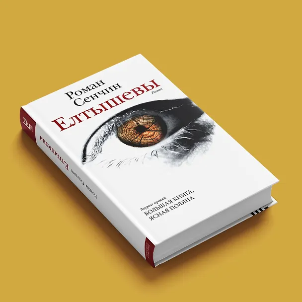Книга Елтышевы. Роман (Роман Сенчин) — 7