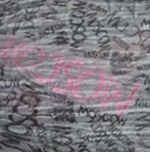 Шарф Moscow (S58-A) (упаковка) 2293854