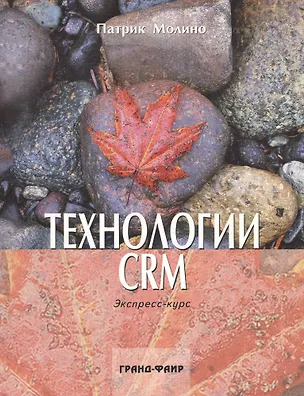 Книга Технологии CRM Экспресс-курс ()