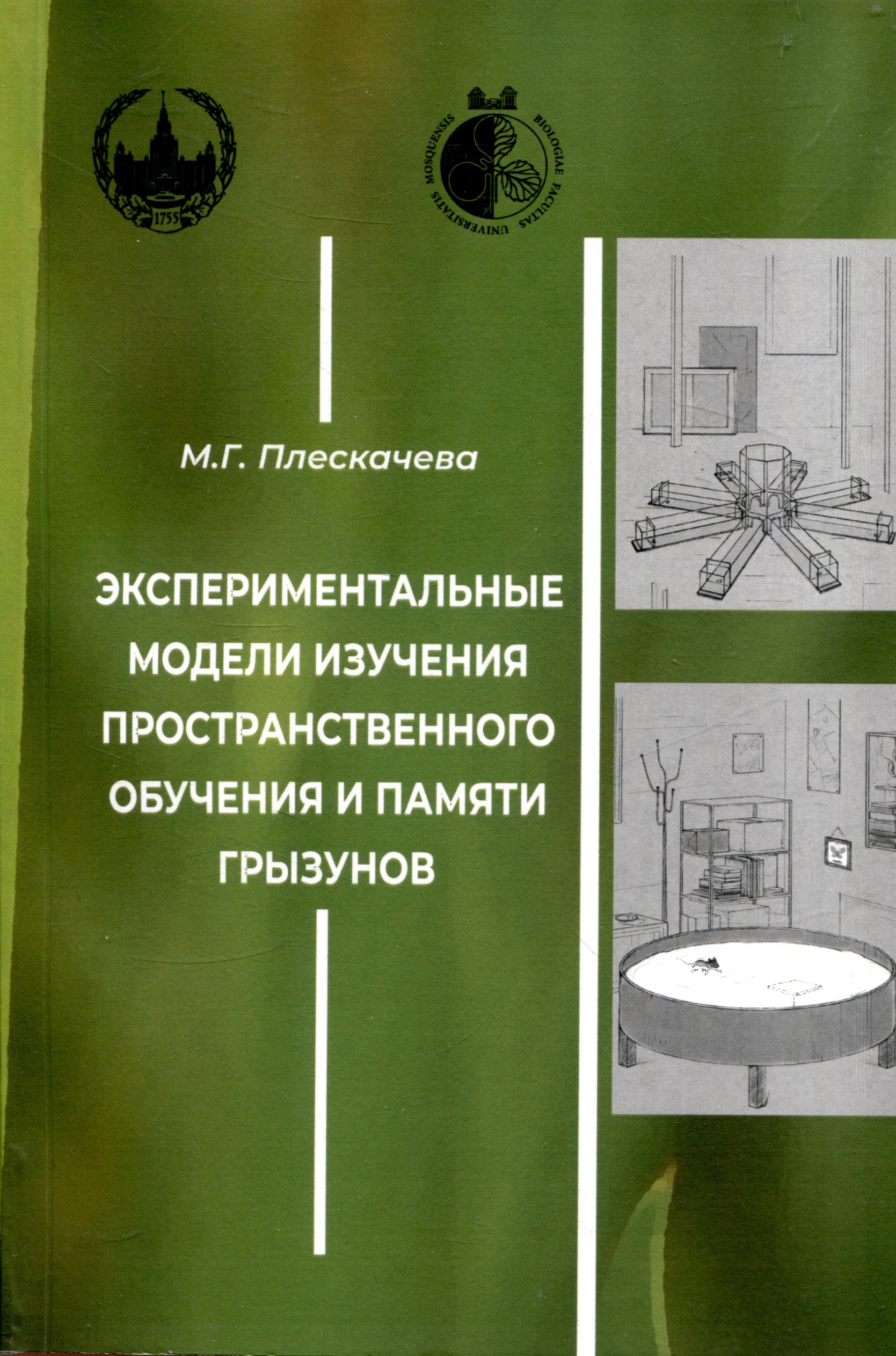 

Экспериментальные модели изучения пространственного обучения и памяти грызунов