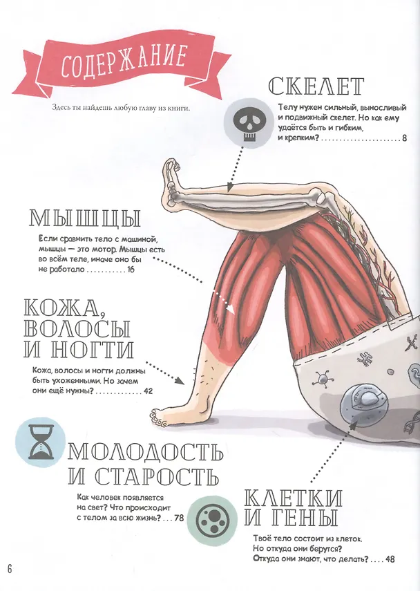 Книга Как устроено Человеческое тело. От клетки до сердца (Матц Вэнблад) — 4