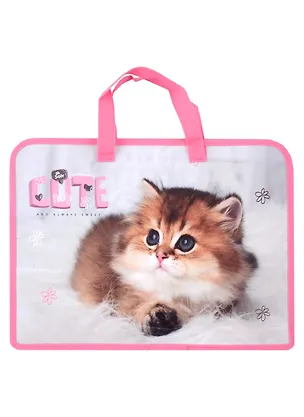 Папка для тетрадей А4 "Cute kitty" 34*24,5*7см пластик, молния, текст.ручки, расширение 2977046