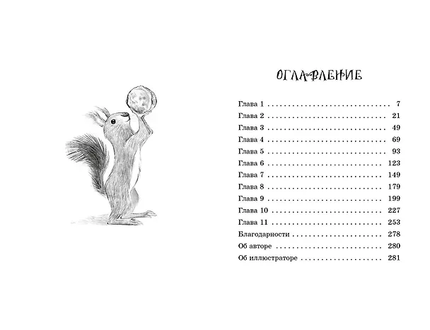 Книга Талисман четырёх стихий (Сабина Больманн) — 12