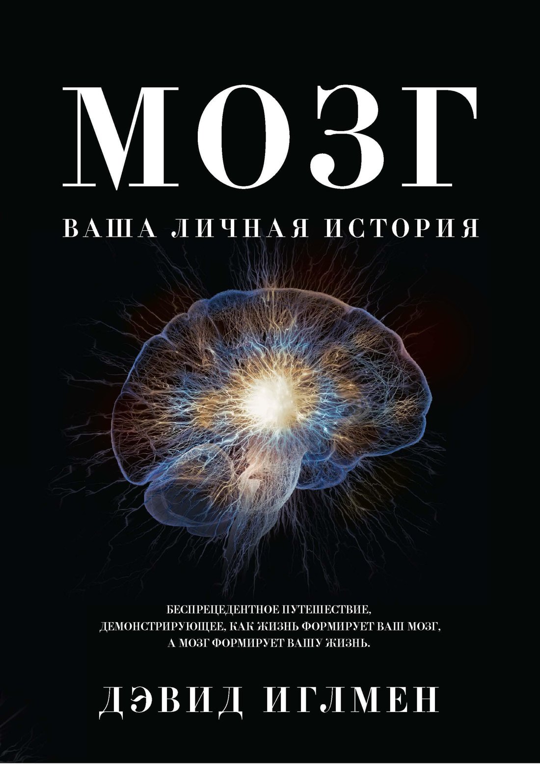 

Мозг. Ваша личная история