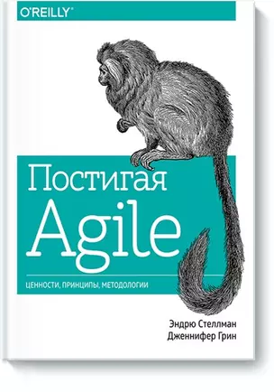 Постигая Agile. Ценности, принципы, методологии — 2723680 — 1