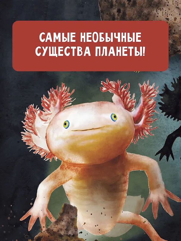 Книга Поразительные животные, которые выглядят как пришельцы (Паоло Манчини, Леон де Лука) — 5