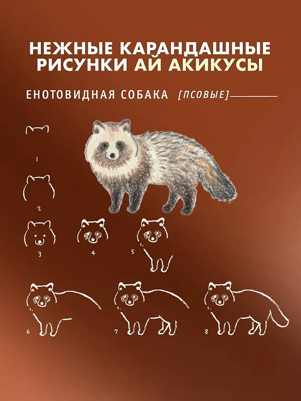 Книга Школа рисования для начинающих: милые животные (Аи Акикуса) — 7