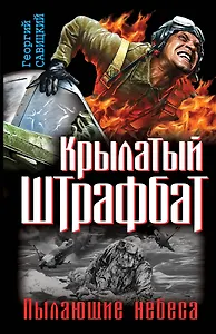 Крылатый штрафбат. Пылающие небеса