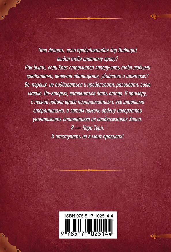 Книга Академия магического права. Брюнетка в осаде : роман (Азалия Еремеева, Наталья Жильцова) — 2