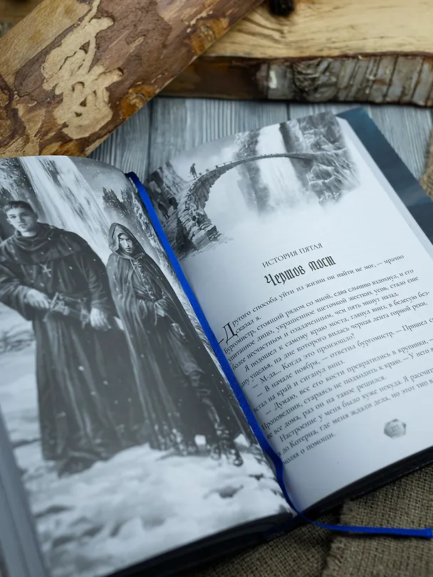 Книга Страж. Коллекционное издание (Алексей Пехов) — 13