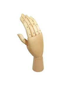 Модель "Рука" 26см, жен. Правая, Двуреченский