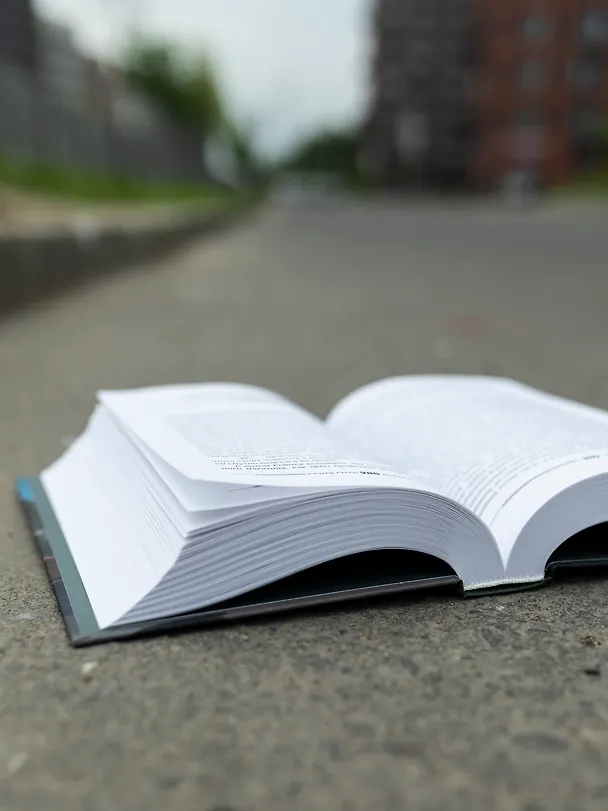 Книга Дураки все (Ричард Руссо) — 10