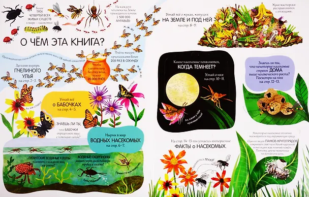 Книга Жуки и бабочки. Более 80 секретных створок (Эмили Бон) — 2