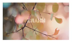 Планинг недатированный 64 листа, "Поэзия дней", карманный, покрытие Soft Touch