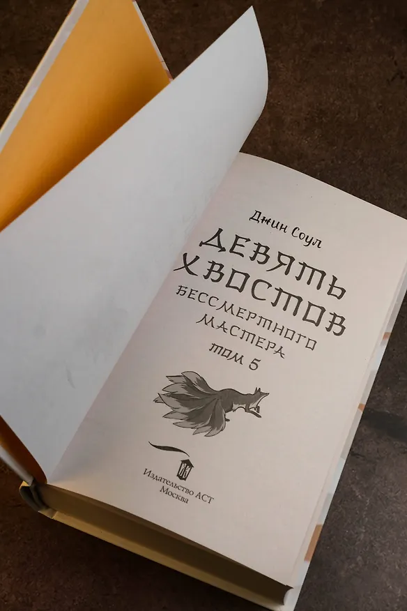 Книга Девять хвостов бессмертного мастера. Том 5 (Джин Соул) — 13