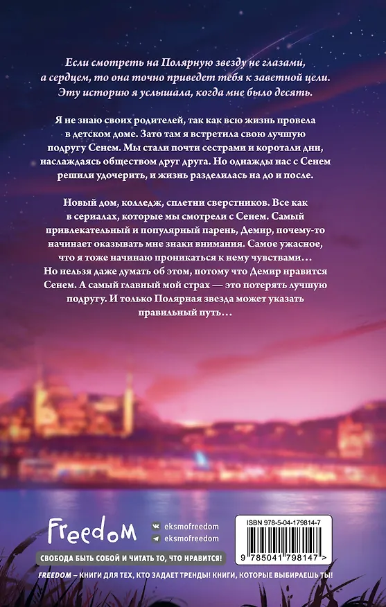 Книга Полярная звезда (#1) (Мехтап Фырат) — 2