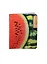 Обложка для паспорта пластик Арбуз 13,7*9,6см (532261) — 2346989 — 1