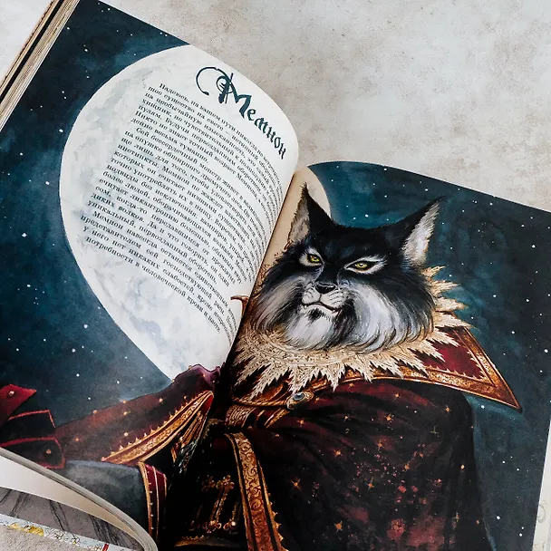 Книга Волшебная вселенная Оливье Ледруа (Лоран Суйе, Оливье Суйе) — 11