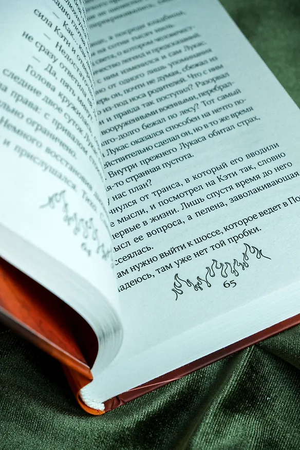 Книга Сквозь огненную стену (Саймон Пайнс) — 12