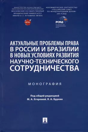 Актуальные проблемы права в России и Бразилии в новых условиях развития научно-технического сотрудничества. Монография — 3033329 — 1