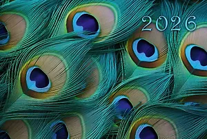 Календарь квартальный 2026г 305*680 "Перья" настенный, трёхблочный, спираль