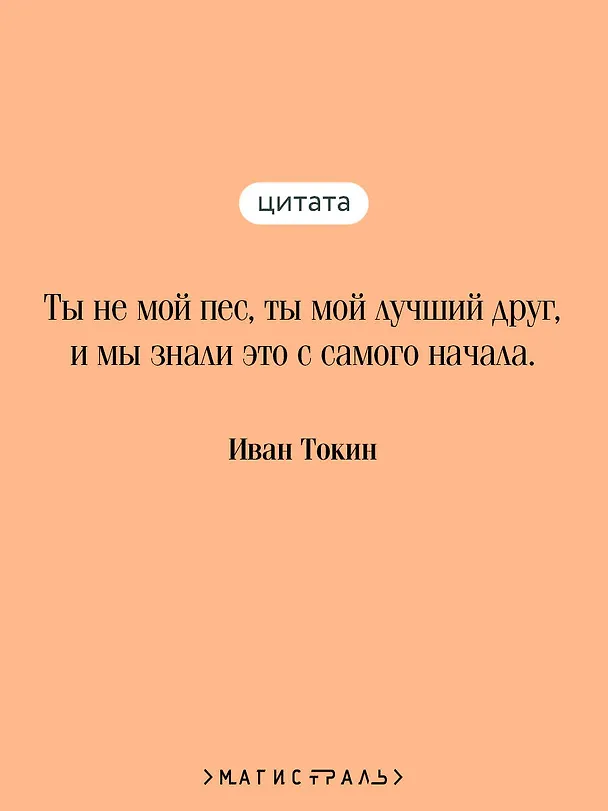 Книга Пес (Иван Токин) — 7
