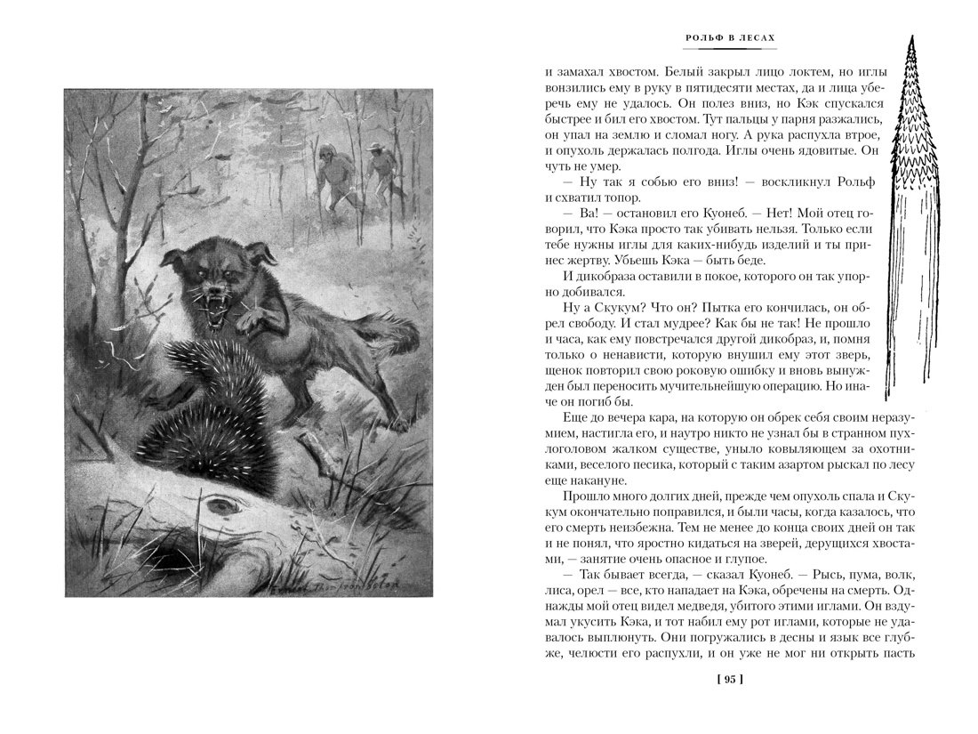 Изображение бумажной книги