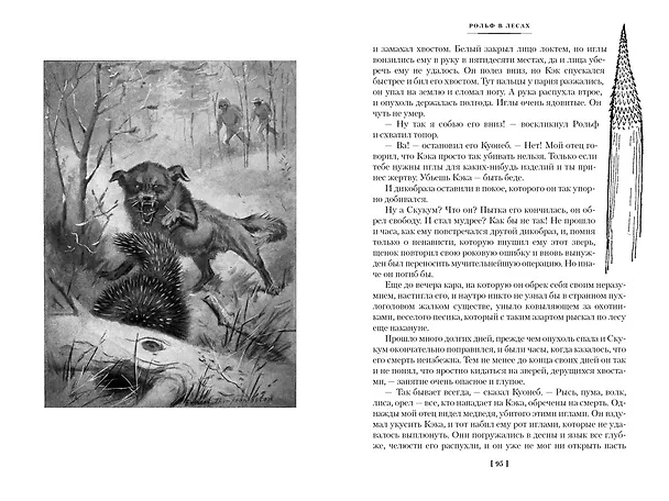 Книга Рольф в лесах. Лесные рассказы (Эрнест Сетон-Томпсон) — 32