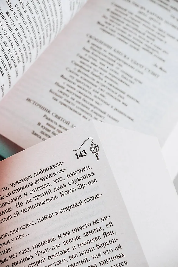 Книга Сон в красном тереме (Цао Сюэ-цинь) — 8