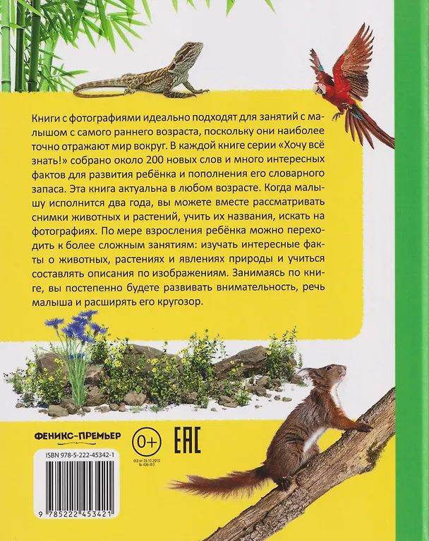 Книга Моя большая книга о природе (Елена Миронова) — 2