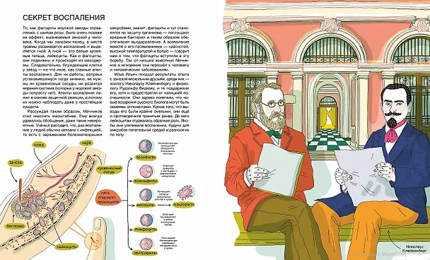 Книга  Мир биолога Мечникова : Как разглядеть в микроскоп целый мир  (Анастасия Волчок) — 8
