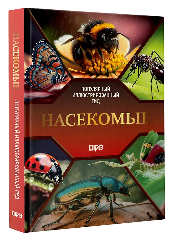 Книга Насекомые. Иллюстрированный гид (Анна Спектор) — 5