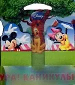 Ура! Каникулы! Книжка-картонка с кармашками