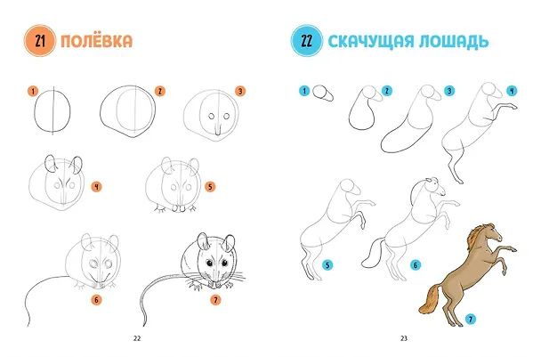 Книга Большая книга животных. 300 рисунков шаг за шагом (Лиз Эрцог) — 6
