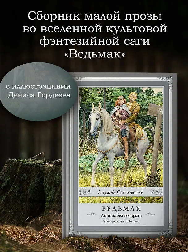Книга Ведьмак. Дорога без возврата с иллюстрациями Дениса Гордеева (Анджей Сапковский) — 4