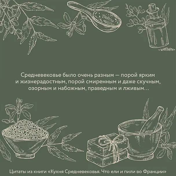Книга Кухня Средневековья. Что ели и пили во Франции (Зои Лионидас) — 5