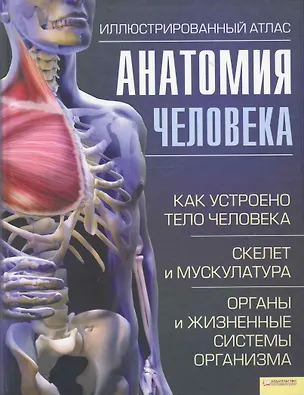 Книга Анатомия человека. Иллюстрированный атлас (Ирина Севастьянова)