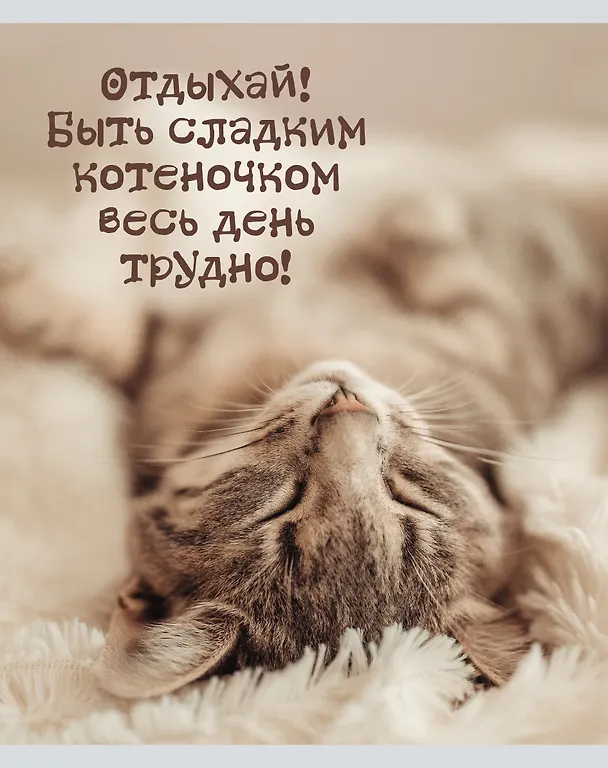 Тетрадь общая «Кото - терапия», 48 листов в линейку, А5, в ассортименте - Listoff 3149237 — 2