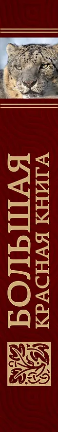 Книга Большая красная книга (Оксана Скалдина) — 3