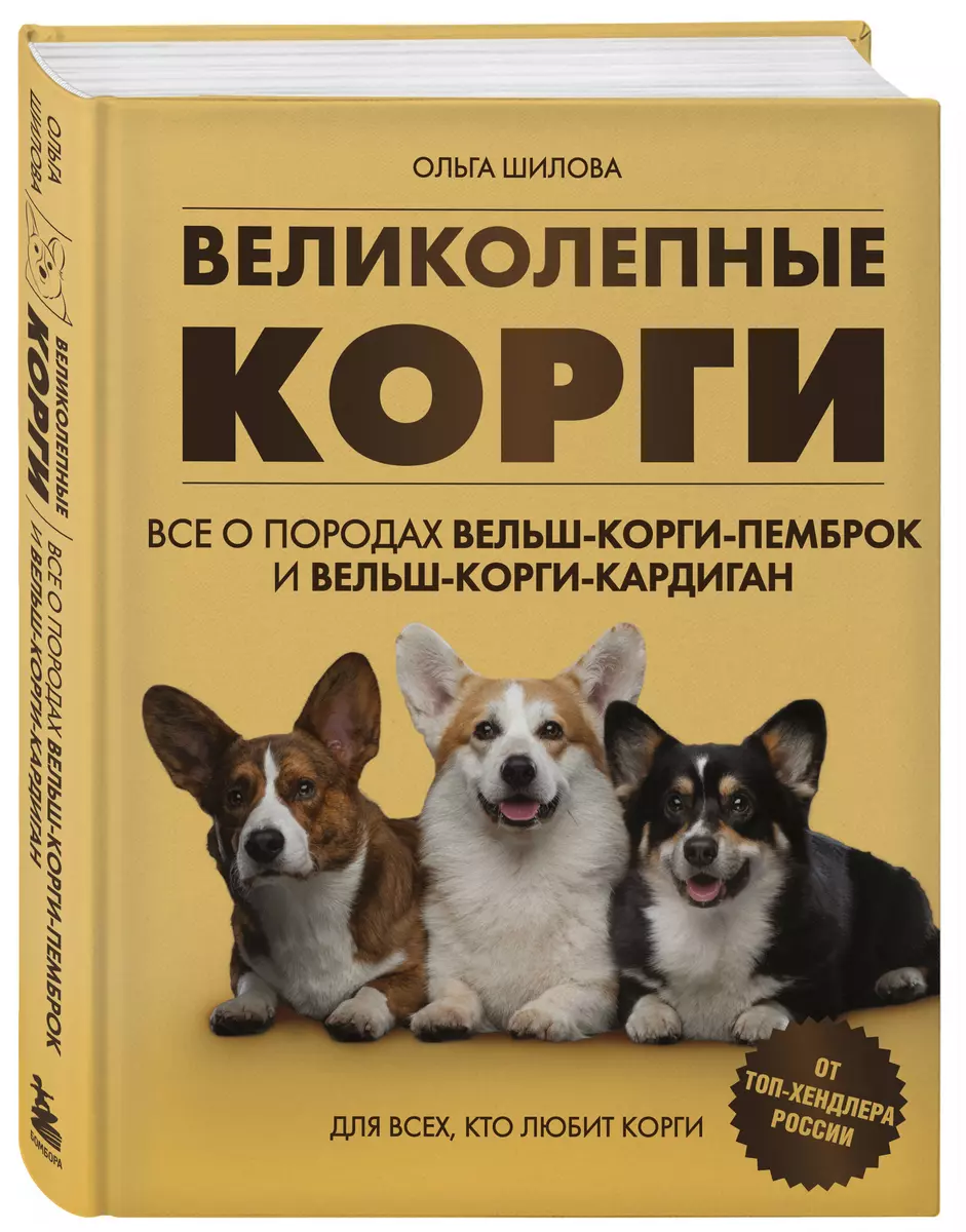 Великолепные корги. Все о породах вельш-корги-пемброк и  вельш-корги-кардиган (Ольга Шилова) - купить книгу с доставкой в  интернет-магазине ...