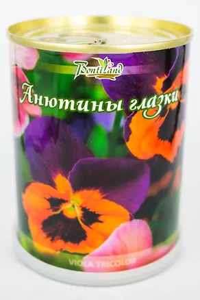 Цветок в банке "Анютины глазки" (410428) 2371562