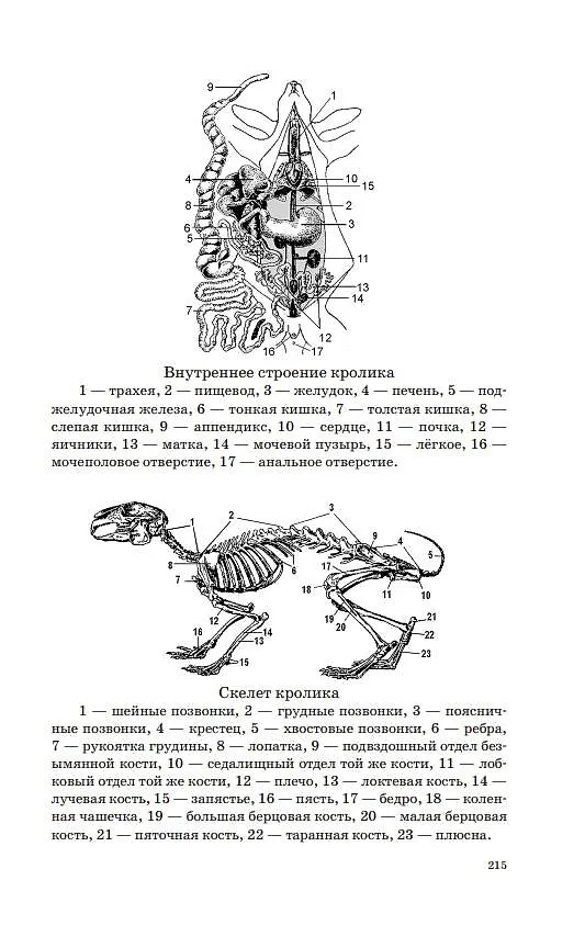 Книга ОГЭ. Биология. Новый полный справочник для подготовки к ОГЭ (Андрей Маталин) — 12