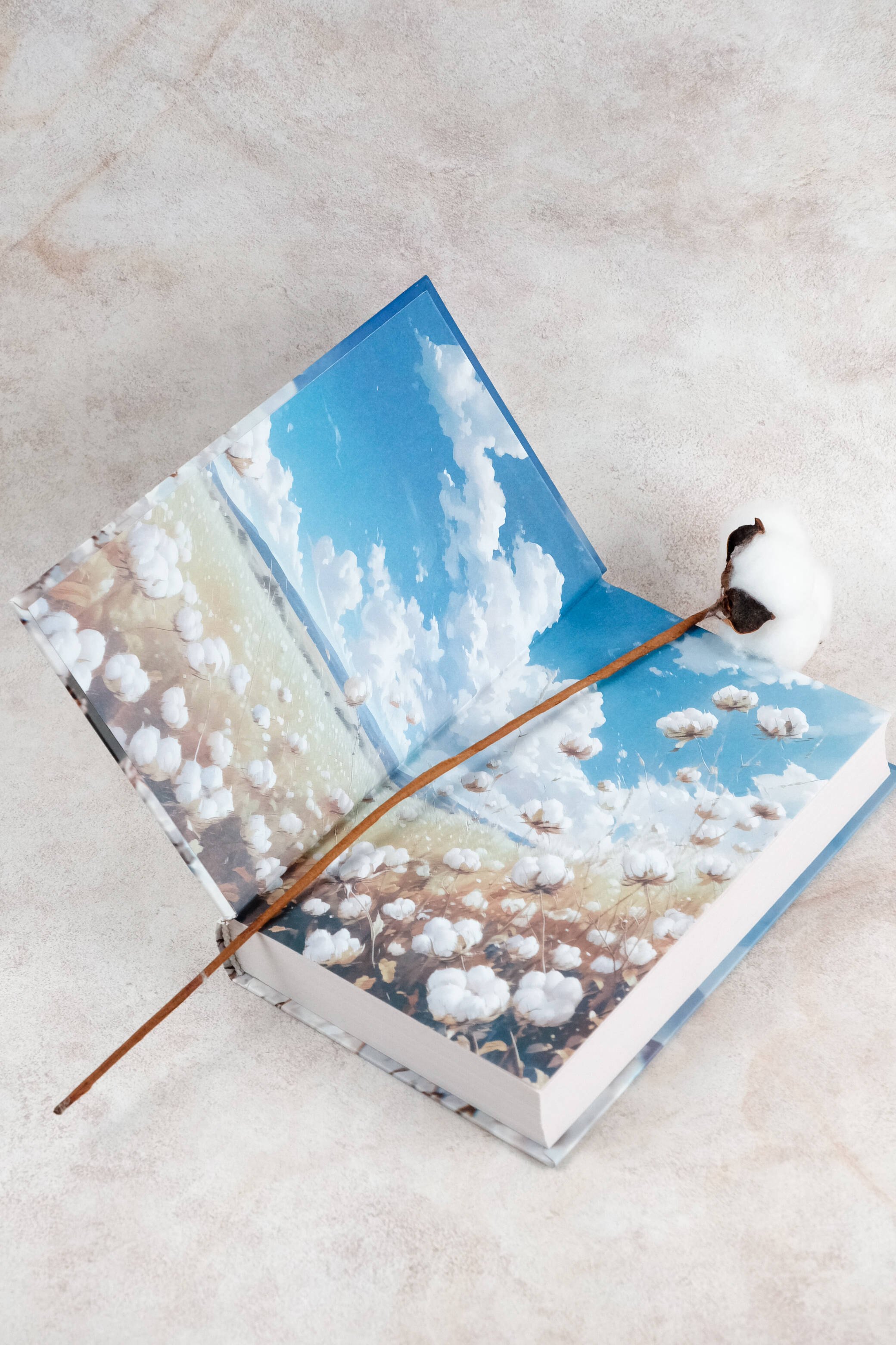 Изображение бумажной книги