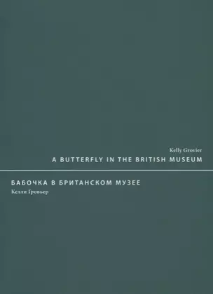 A butterfly in the British museum / Бабочка в Британском музее — 2634706 — 1