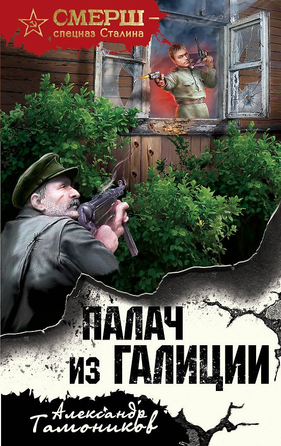 Книга Палач из Галиции (Александр Тамоников) — 1