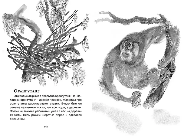 Книга Друзья (Евгений Чарушин) — 16
