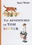 The Adventures of Tom Sawyer = Приключения Тома Сойера: роман на англ.яз — 2626294 — 1